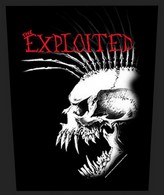 Exploited back patch