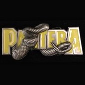 Pantera Belt Buckle