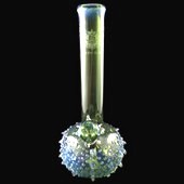 Click to enlarge Red Eye Glass Bong