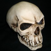 Vampire skull