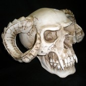 Vampire skull