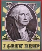 Click to enlarge Washington Grew Hemp Sticker